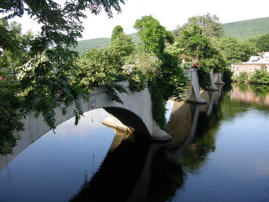 Name:  x overgrown bridge.jpg
Views: 384
Size:  54.0 KB