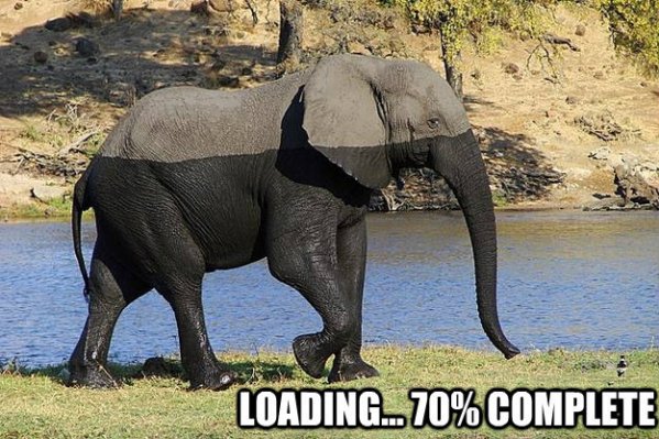 Name:  loading_70_complete_9583.jpg
Views: 637
Size:  81.0 KB
