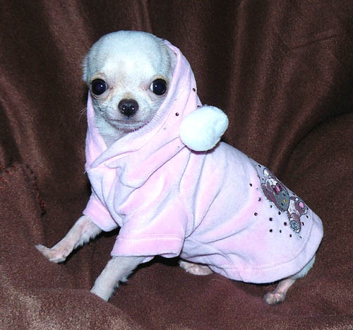 Name:  cashHelloKitty.jpg
Views: 874
Size:  65.2 KB