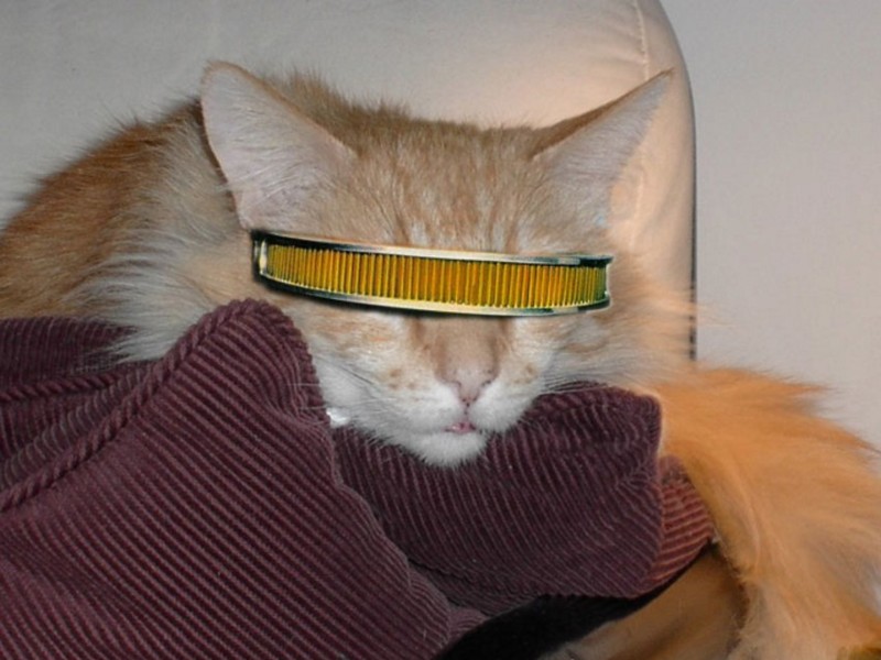 Name:  kittylaforge.jpg
Views: 603
Size:  91.8 KB