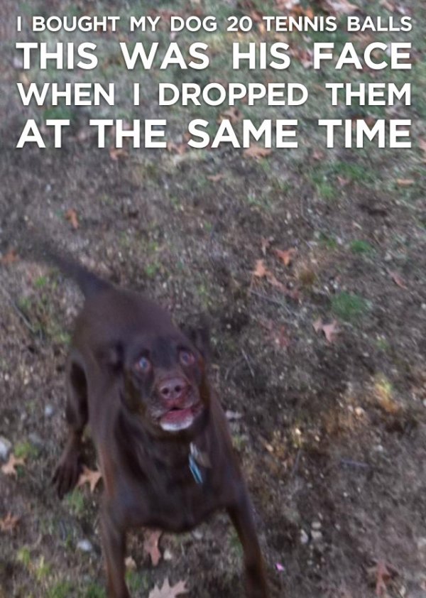 Name:  dropped_20_tennis_balls_at_the_same_time_9984.jpg
Views: 469
Size:  99.0 KB