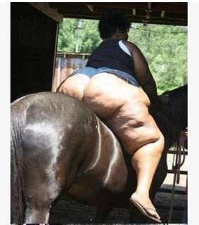 Name:  horseWTF.jpg
Views: 1353
Size:  18.8 KB
