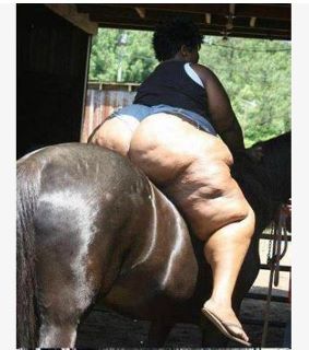 Name:  horseWTF.jpg
Views: 1189
Size:  18.8 KB