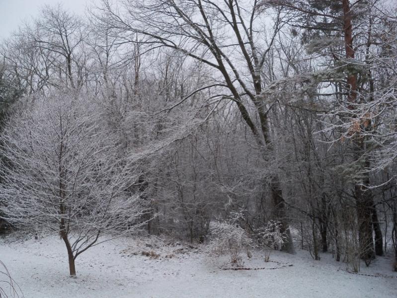 Name:  SnowyyardSML.jpg
Views: 226
Size:  116.3 KB