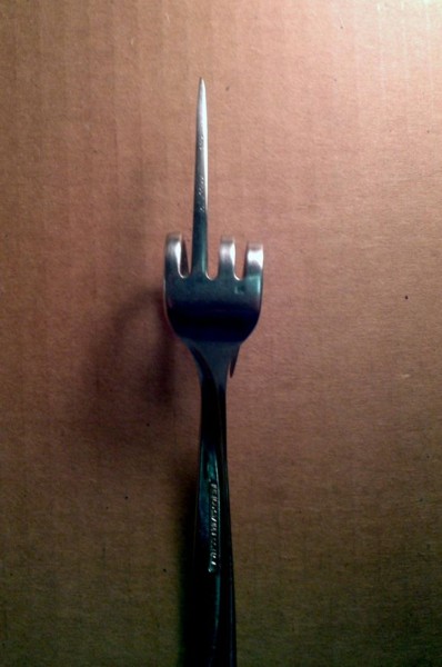 Name:  forkwithanattitude.jpg
Views: 860
Size:  44.6 KB