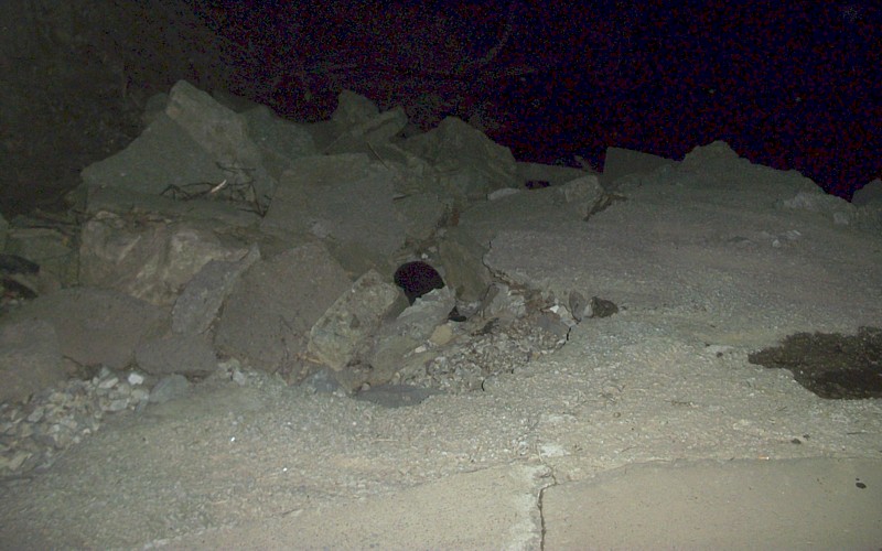 Name:  100_2441ab.jpg
Views: 287
Size:  121.2 KB