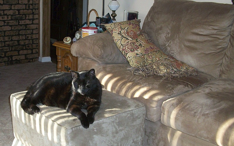 Name:  100_2436abc.jpg
Views: 472
Size:  147.6 KB