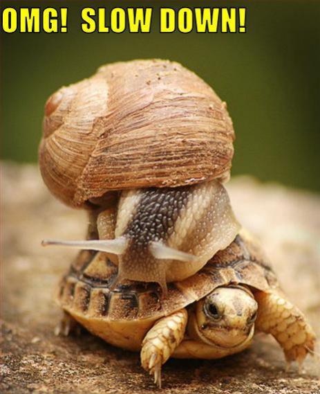 Name:  Slowdown.jpg
Views: 498
Size:  43.6 KB