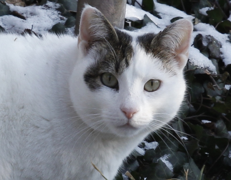 Name:  wrfn-cat1.jpg
Views: 272
Size:  163.6 KB