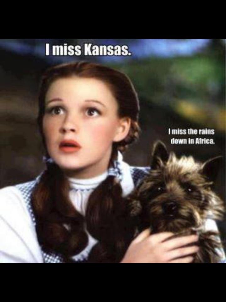 Name:  toto.jpg
Views: 533
Size:  50.3 KB