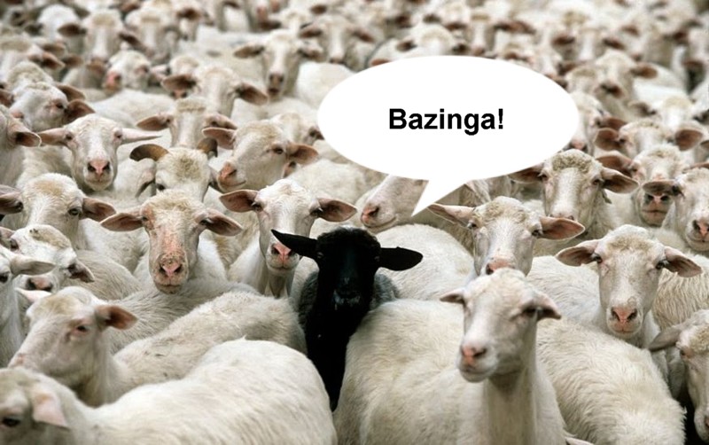 Name:  bahbahblacksheep.jpg
Views: 538
Size:  104.0 KB