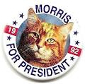 Name:  Morris for President.jpg
Views: 216
Size:  4.9 KB