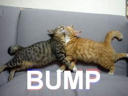 Name:  catbump.jpg
Views: 306
Size:  7.1 KB