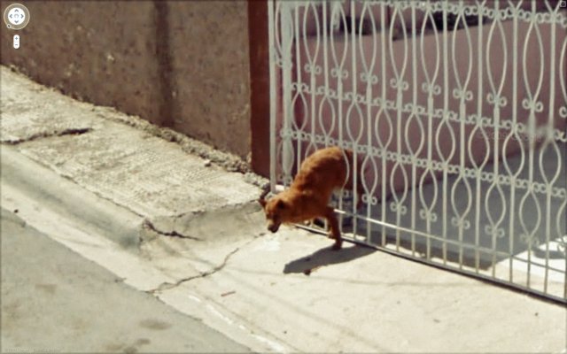 Name:  Street View.jpg
Views: 956
Size:  54.5 KB