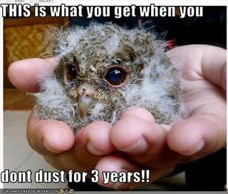 Name:  owl ha.jpg
Views: 966
Size:  23.5 KB