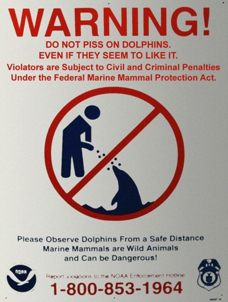 Name:  dolphins.jpg
Views: 8577
Size:  73.5 KB