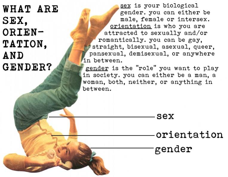 Name:  sex-orientation-gender.jpg
Views: 191
Size:  71.4 KB