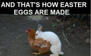 Name:  easter eggs.jpg
Views: 1168
Size:  14.0 KB