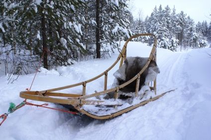 Name:  dogsled1.s600x600.jpg
Views: 353
Size:  60.0 KB