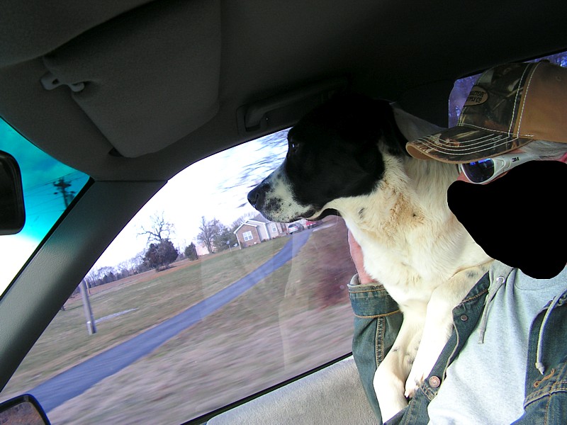 Name:  Crash.jpg
Views: 533
Size:  118.9 KB