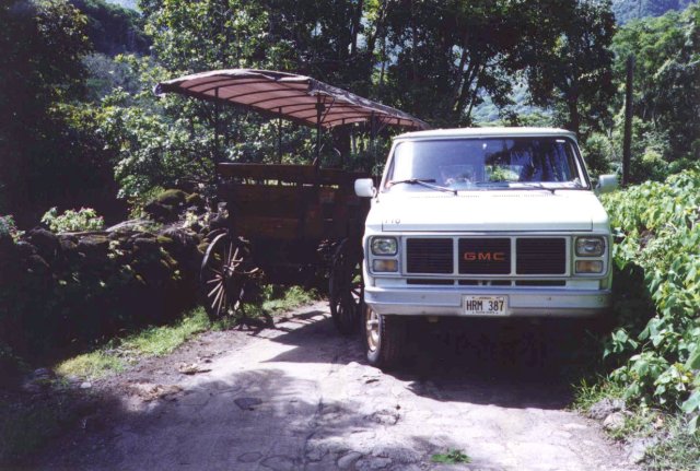 Name:  fraking mules.jpg
Views: 295
Size:  77.4 KB