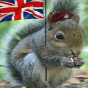 Name:  British Squirrel.jpg
Views: 350
Size:  11.1 KB