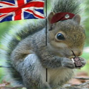 Name:  British Squirrel.jpg
Views: 564
Size:  11.1 KB