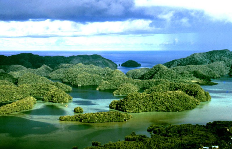 Name:  palau1.jpeg
Views: 327
Size:  94.4 KB