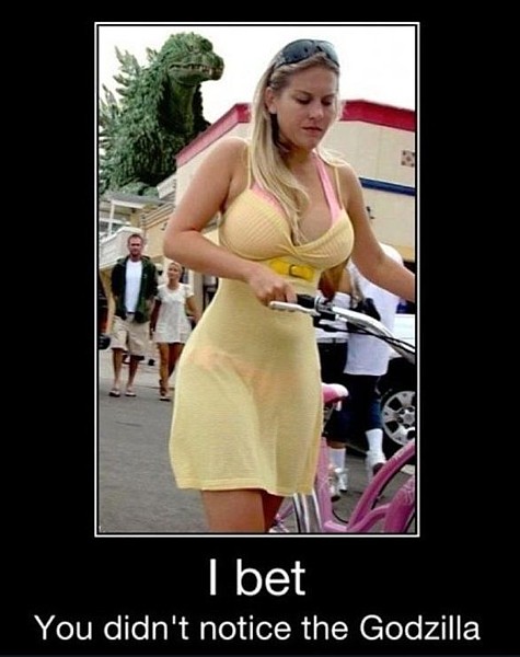 Name:  dfghgrr.JPG
Views: 1439
Size:  60.1 KB