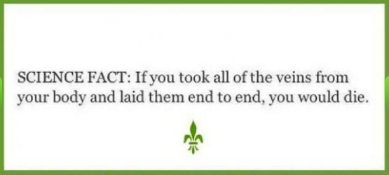 Name:  Fact.JPG
Views: 719
Size:  21.0 KB