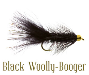 Name:  fly-fishing-fly-black-woolly-booger.jpg
Views: 975
Size:  59.0 KB