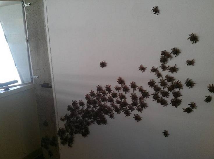 Name:  burnthehousedown.jpg
Views: 603
Size:  31.0 KB