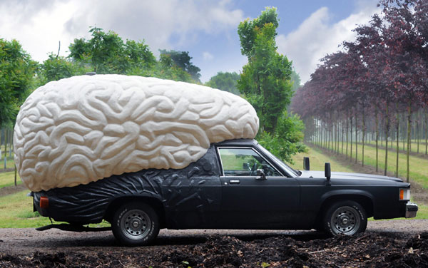 Name:  brain-car-1.jpg
Views: 167
Size:  65.2 KB