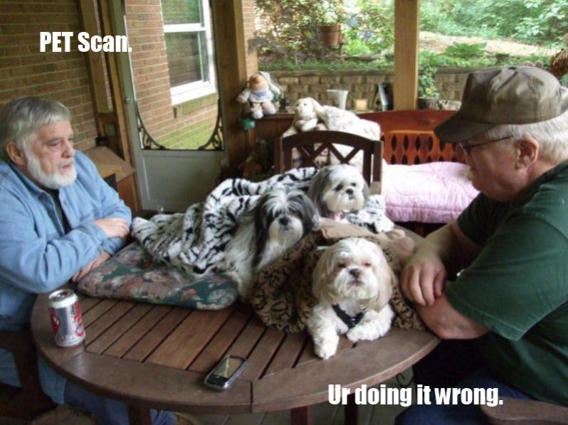 Name:  Petscanwrong.jpg
Views: 301
Size:  74.3 KB