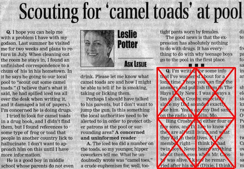 Name:  camel toads.jpg
Views: 1497
Size:  159.0 KB
