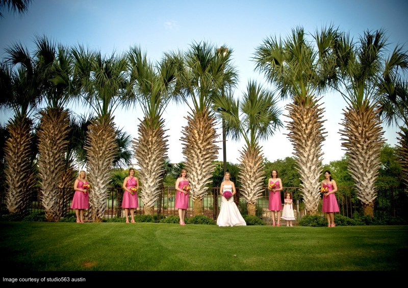 Name:  pink palms.jpg
Views: 307
Size:  175.1 KB