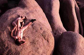 Name:  29palms2.jpg
Views: 1174
Size:  20.0 KB