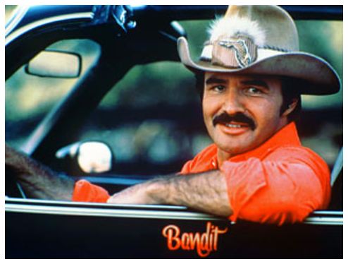 Name:  The 'Stache.JPG
Views: 3114
Size:  37.6 KB