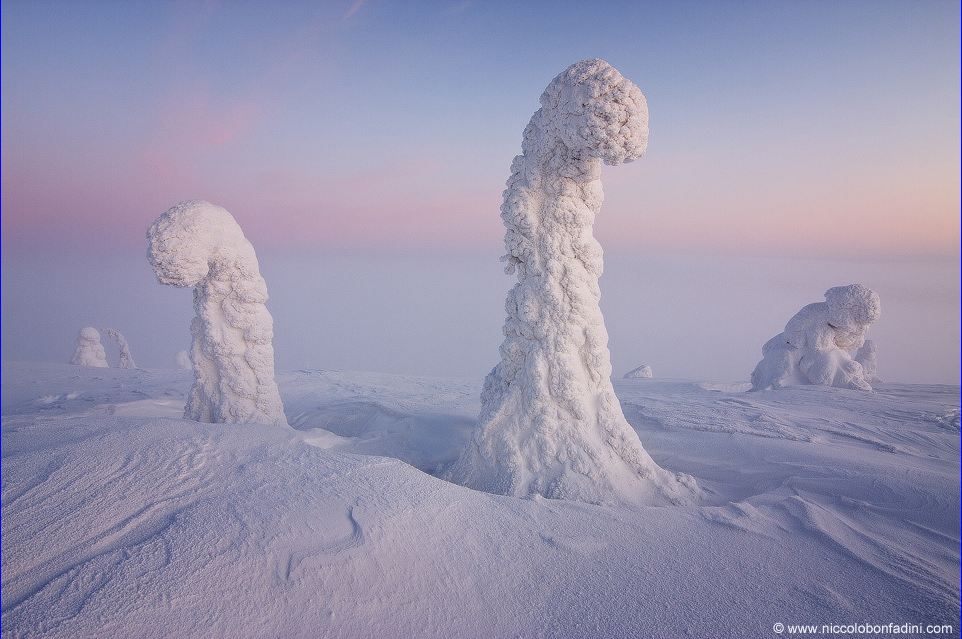 Name:  Watchers of the North.JPG
Views: 2637
Size:  99.9 KB