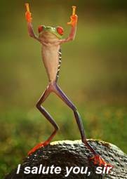 Name:  frogfingers.jpg
Views: 546
Size:  10.7 KB
