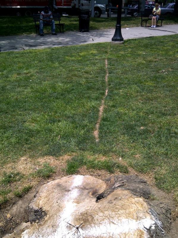 Name:  rat trail.jpg
Views: 212
Size:  117.4 KB