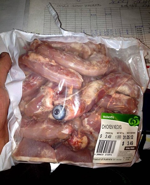 Name:  thatsnotachickenneck.jpg
Views: 613
Size:  82.4 KB