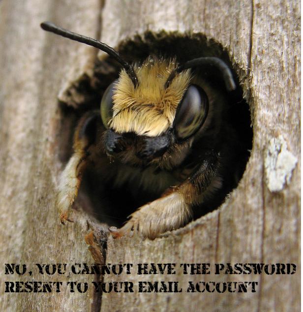 Name:  password.jpg
Views: 1251
Size:  65.4 KB