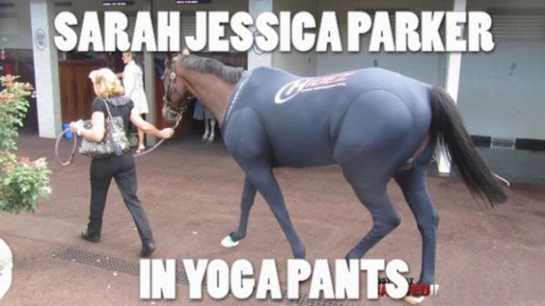 Name:  Sarah_Jessica_Parker_Yoga_Pants.jpg
Views: 690
Size:  34.2 KB
