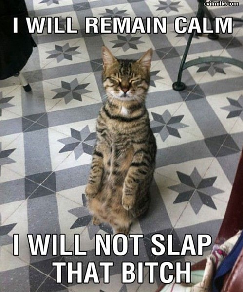 Name:  Remain_Calm.jpg
Views: 692
Size:  90.5 KB