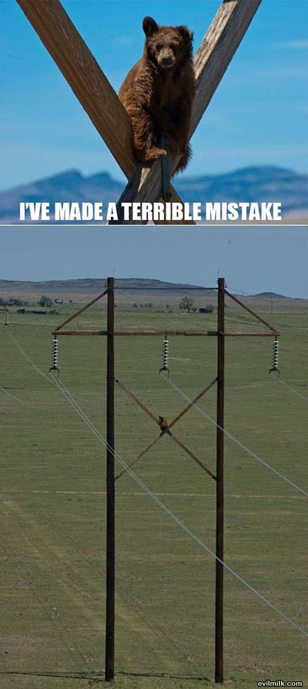 Name:  Terrible_Mistake.jpg
Views: 665
Size:  96.6 KB