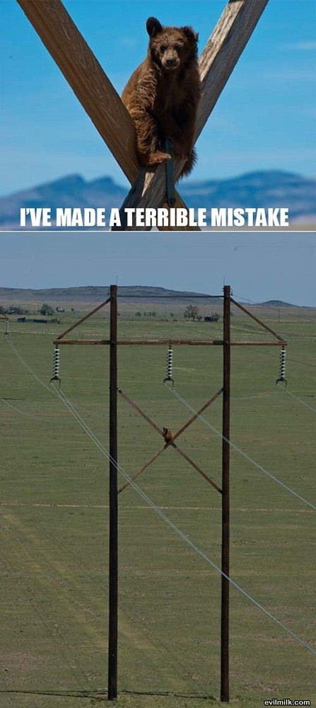 Name:  Terrible_Mistake.jpg
Views: 605
Size:  96.6 KB