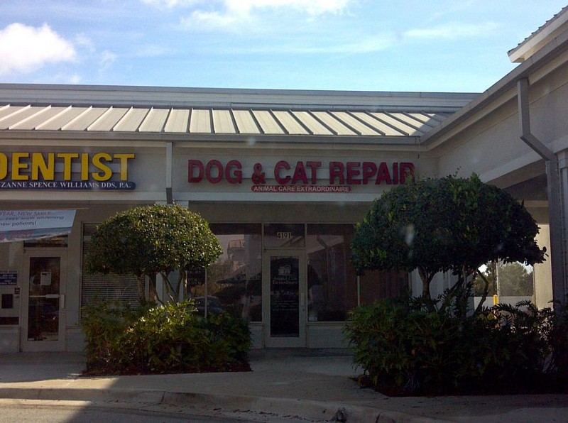 Name:  dogandcatrepair.jpg
Views: 837
Size:  116.7 KB