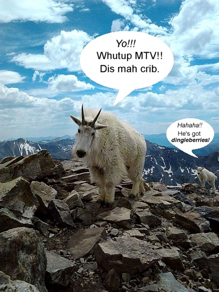 Name:  mountaingoatandkid.jpg
Views: 446
Size:  101.3 KB