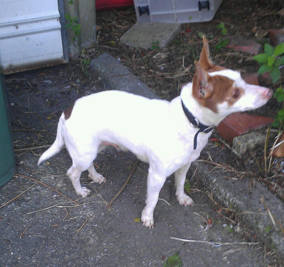 Name:  Sally.jpg
Views: 276
Size:  170.0 KB